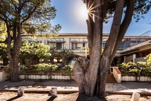 Hotel Oasis Argelès-sur-Mer Exterior foto